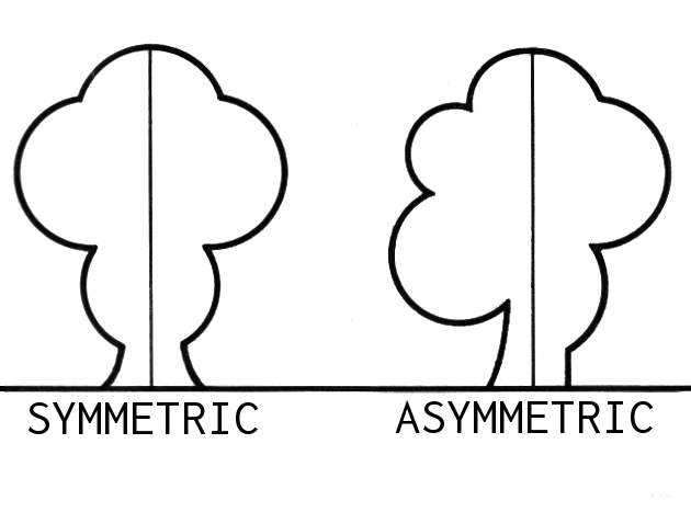 Symmetrisk och asymmetrisk designprincip